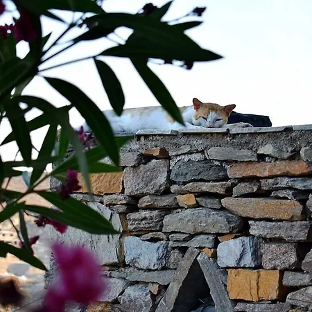 Awesome Traditional Maisonette House - Kythnos * Agios Dimitrios (Kythnos)